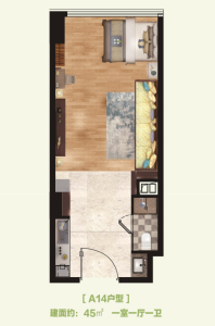 A14户型一厅一室一卫