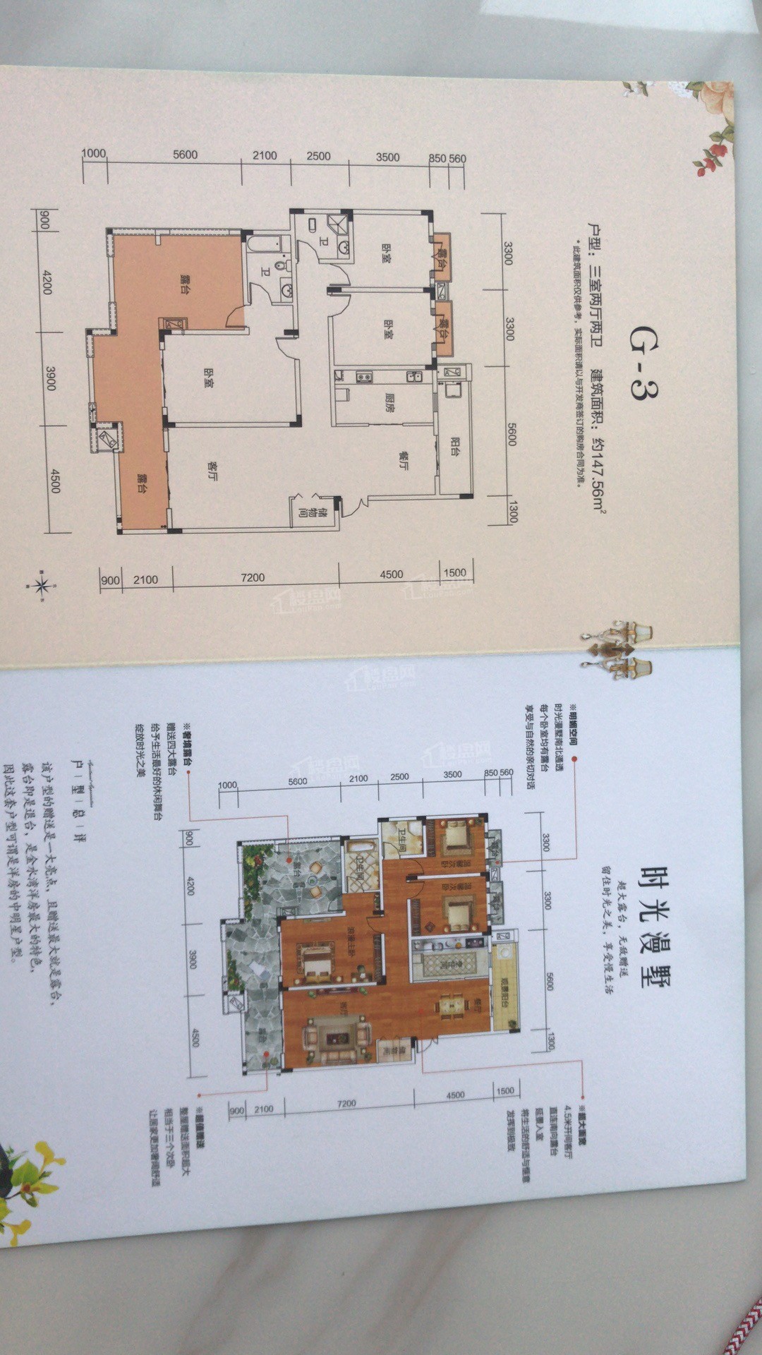 湘潭九华61金水湾别墅3室2厅1卫户型图-湘潭楼盘网