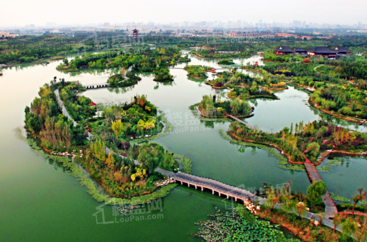 梁城首府周边湿地公园实景图