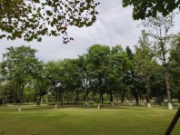 龙湖景粼玖序周边中央公园