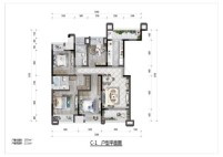 两江溪岸云蔚C-1户型 4室2厅2卫1厨