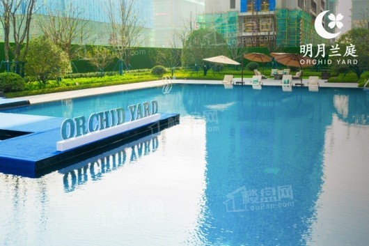 绿城明月兰庭泳池实景图