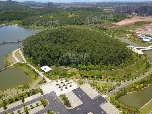 碧桂园·星湖沄璟金星湖湿地公园