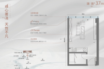 建面37平户型