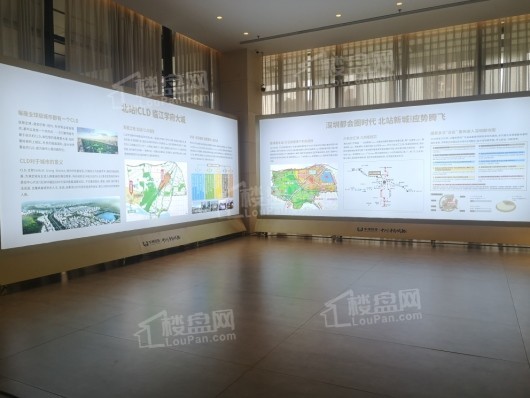 中洲半岛城邦售楼处区域图