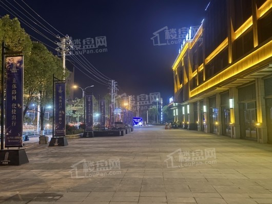 香连·康健城项目夜景