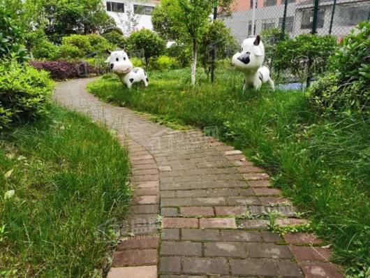 凉都·云山谷小区实景