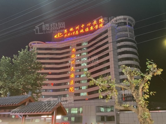 颐锦天城二期恩施州民族医院