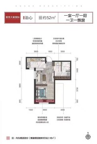 爱地大新国际 B户型 泊心 建面约52㎡ 1室1厅1卫