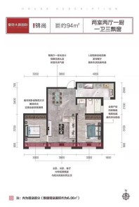 爱地大新国际 C户型 锦尚 建面约94㎡ 2室2厅1卫