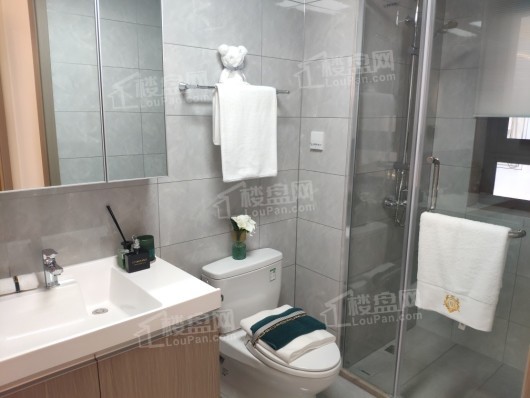 旭辉·東宸府高层102㎡户型卫生间