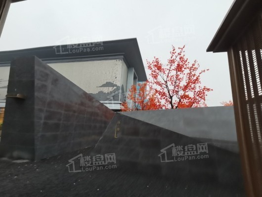 万科翡翠观澜通往售楼处