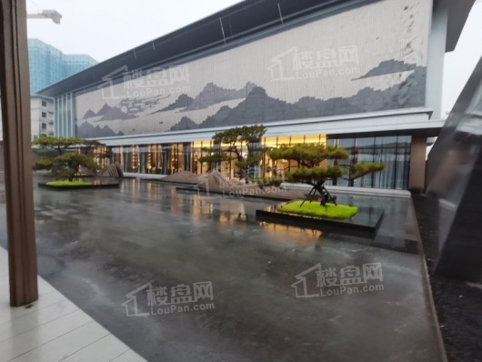 万科翡翠观澜实景图