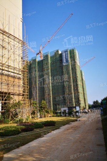 兆南椰林壹号在建工地实景