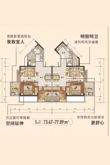 泰安浮东旧改项目73㎡户型 2室2厅1卫1厨