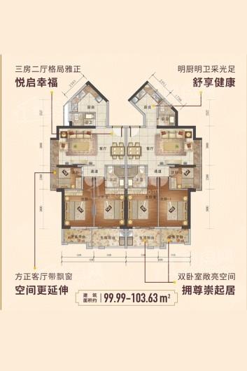 泰安浮东旧改项目99㎡户型 3室2厅2卫1厨