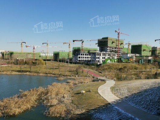 潍坊商谷项目一期主体施工进度