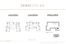 保利科创紫荆阁联排4室3厅4卫330㎡户型 4室3厅4卫1厨