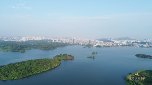 特发天鹅湖畔实景图