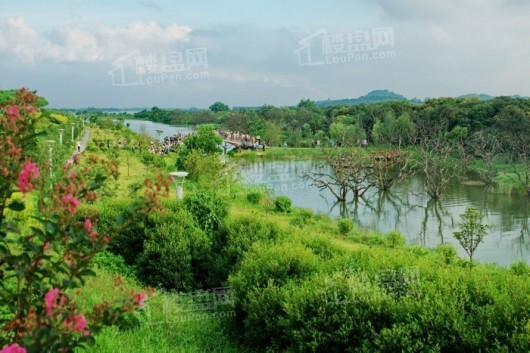 譽峰幸福河濕地公園