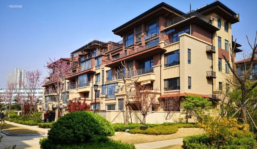 潍坊泰和东郡(四期)项目每月物业费是多少?物业服务好不好?