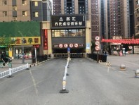 中海和平之门·棠颂地下车库入口