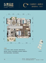 东澳溪地C户型 3室2厅2卫1厨