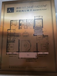 龙居华府A1户型141平