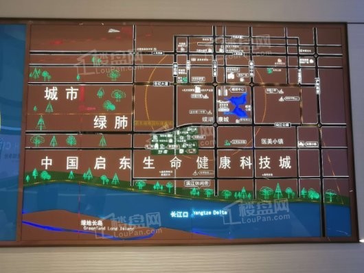 启东绿地国际健康城8-11交通规划