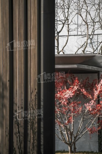 龙湖舜山府实景图