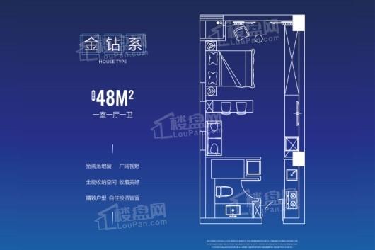 新龙江城市广场48平米户型 1室1厅1卫