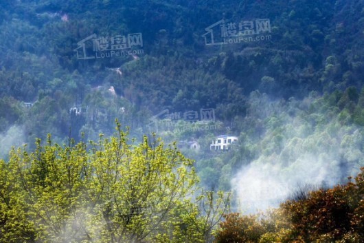 陌上星空特色民宿是由安徽陌上星企业管理有限公司打造