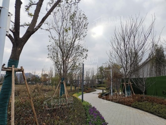 金辉·云庭水岸_连云港金辉·云庭水岸房价_楼盘怎么样-连云港楼盘网