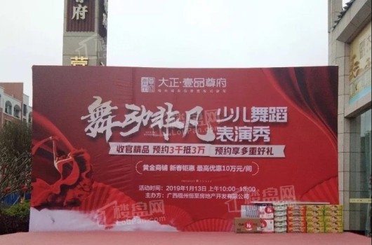 大正·壹品尊府实景图