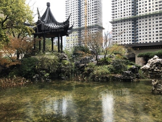 株洲建发央著实景图