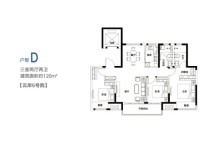 郑州华侨城云岸5号院D户型 3室2厅2卫1厨