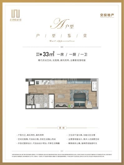 武汉物联商务区建面约33平米户型 1室1厅1卫1厨