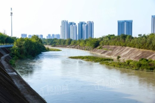 城投置地梧桐集配套图