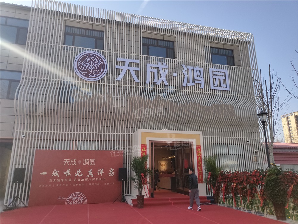 天成鸿园实景图