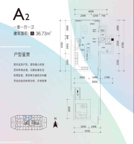 A2户型