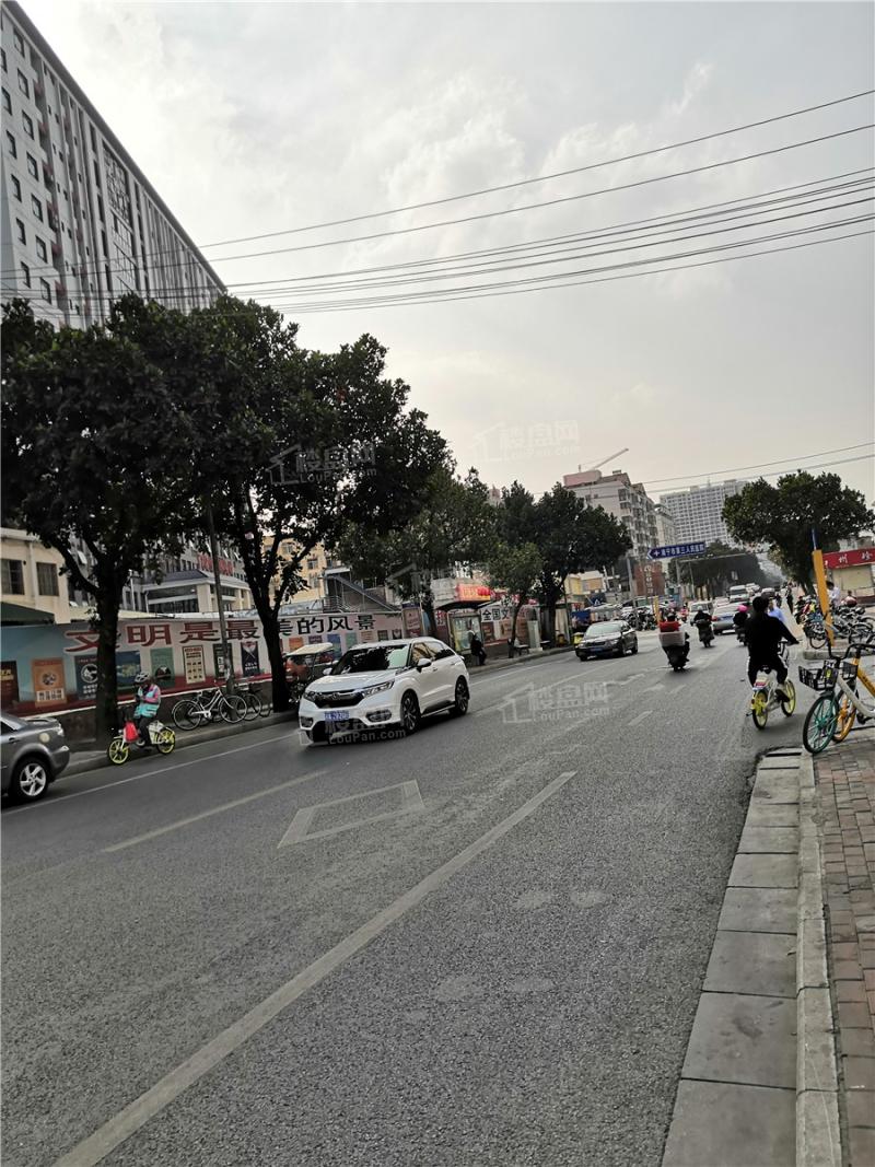 天健城天境家门口的新阳路道路实景。(摄于2021年2月)