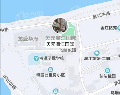 天元湘江国际位置图