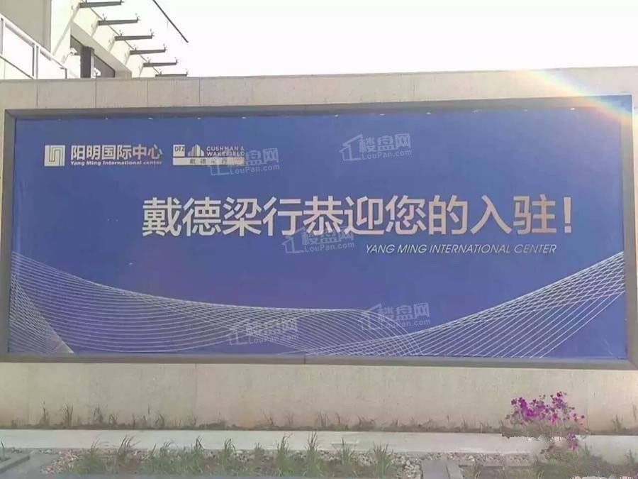 阳明国际中心实景图