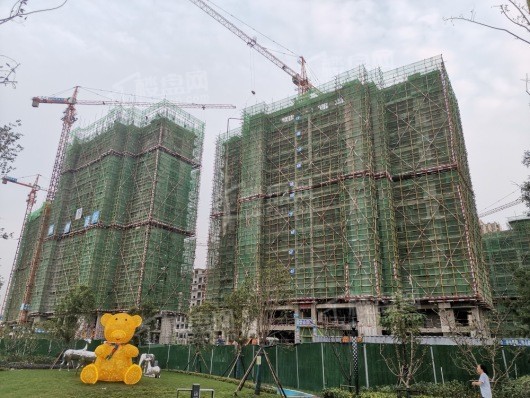 瑞马大都会项目在建工地实景