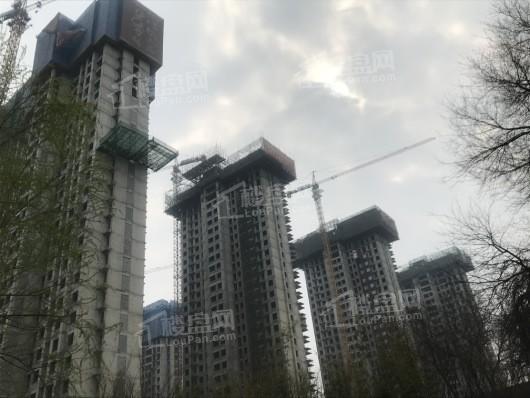 科弘·国风龙樾在建工地