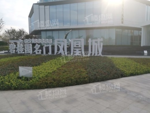 碧桂园凤凰城_郑州碧桂园凤凰城房价_楼盘怎么样-郑州楼盘网