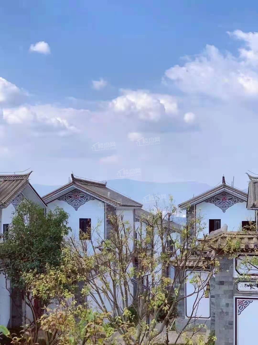 大理公馆洱海边的小院子