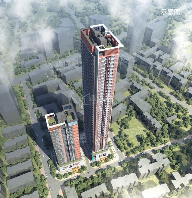 protect/lpimg/image/2021/0311/1808471661314.jpg!watermark