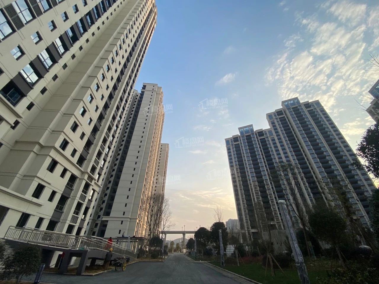 苍溪楠洋都汇