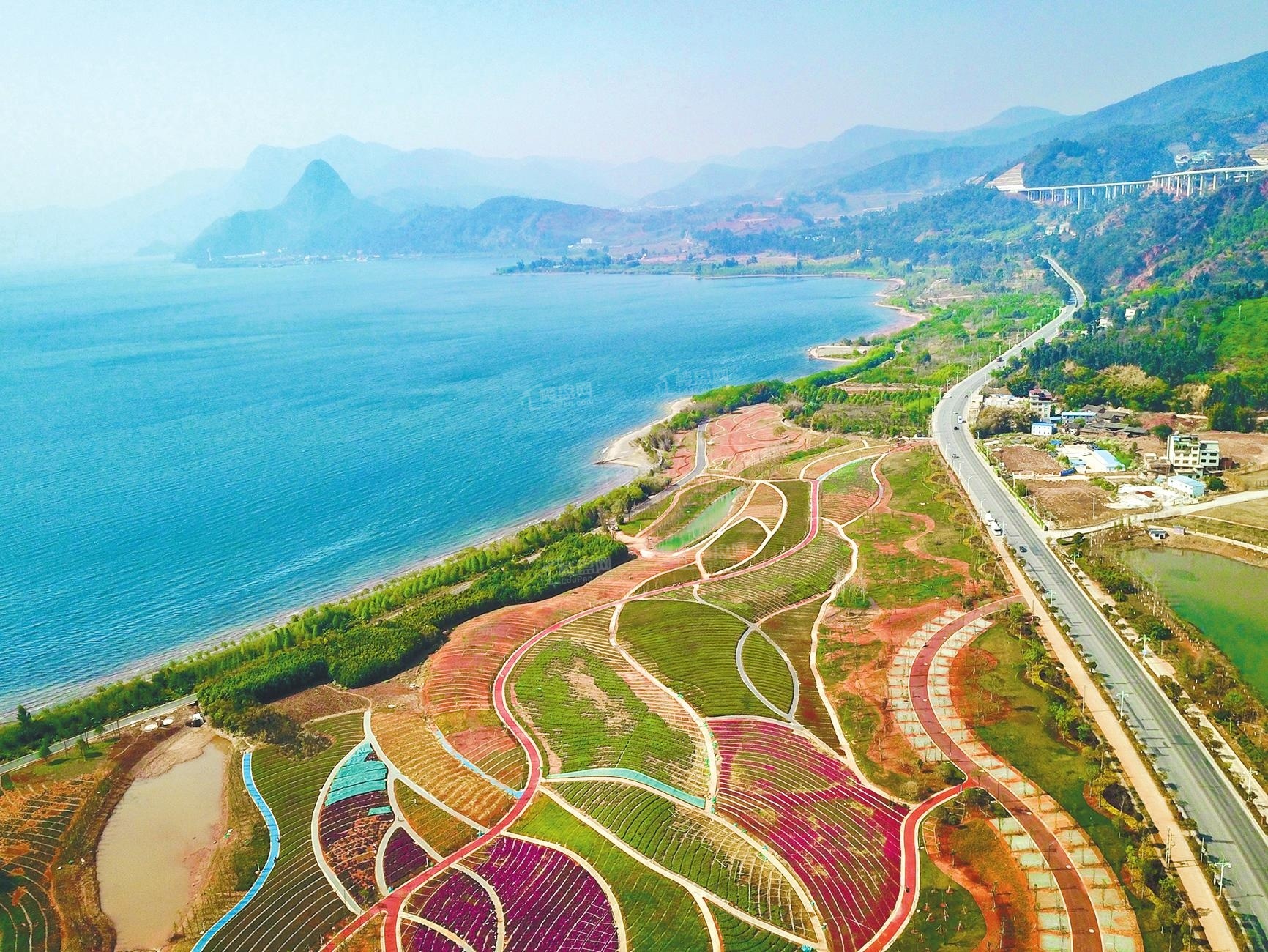 抚仙湖北岸湿地公园2021年3月实景